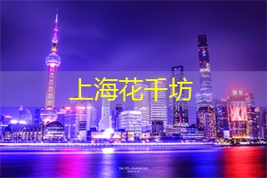 午夜巴士：在城市间游荡